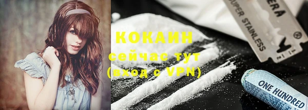 стафф Кодинск