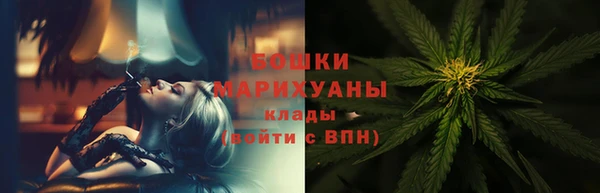 прущие грибы Козловка