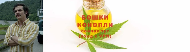 PSILOCYBIN Коряжма