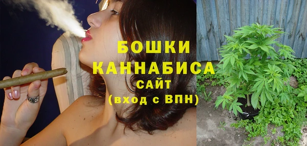 прущие грибы Козловка