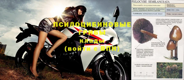 стафф Кодинск