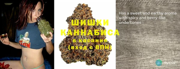 крисы Корсаков
