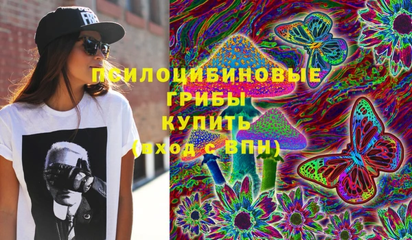 прущие грибы Козловка