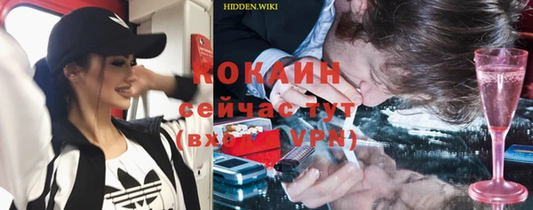 прущие грибы Козловка
