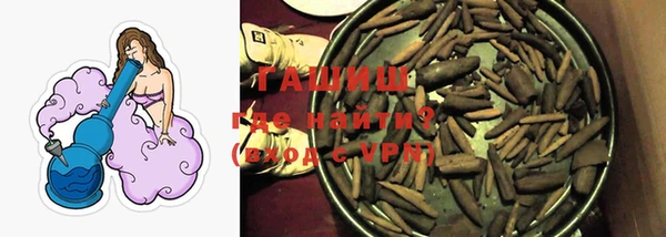 стафф Кодинск