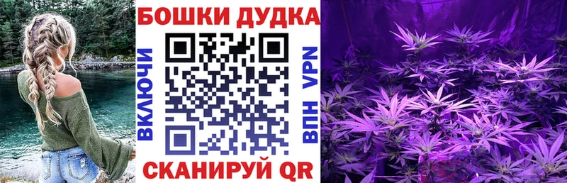 Бошки Шишки план  Купить  Мценск 